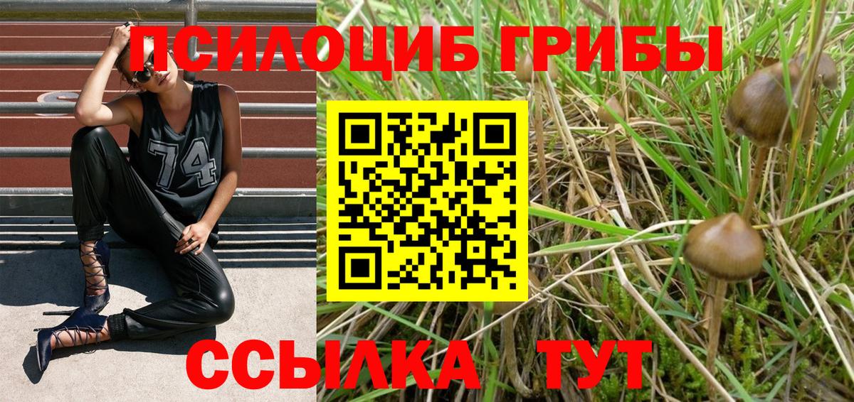 Галлюциногенные грибы ЛСД Осинники