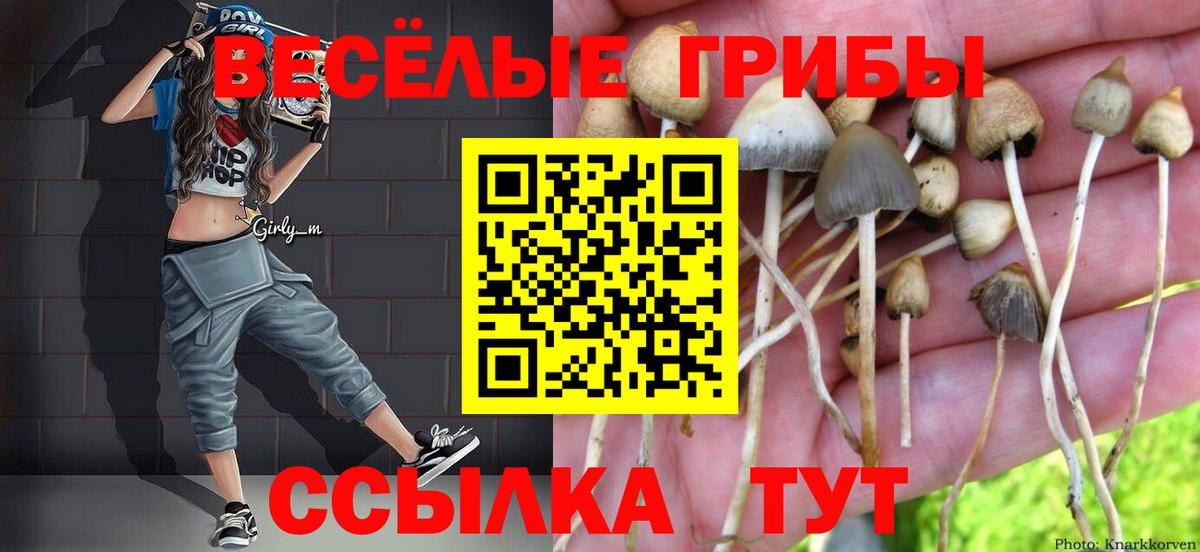 Осинники  Галлюциногенные грибы ЛСД  Вход с VPN 